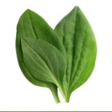 IHerb Айхерб Корея Ordinary