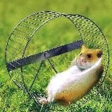 Переселенец