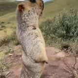 исходники от глеба