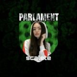 P A R L A M E N T♻️