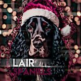 Логово спаниелей