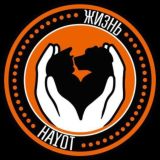 Приют для собак «Хаёт» 🐶