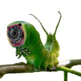 Видеонаблюдение