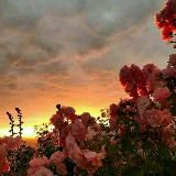 𝘿𝙪𝙨𝙝𝙖_𝙢𝙞𝙧🌙