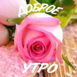 ДОБРОЕ УТРО