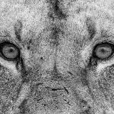 Идеи для Визуала