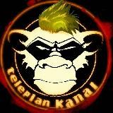 Teleplan_Studio™