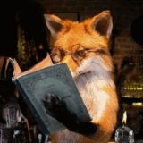 Сказки Старого лиса.