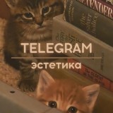 правила