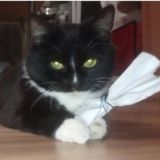 Они такие...