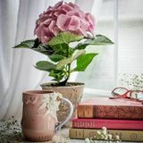 🌸 Повседневная жизнь Мусульманки🌸