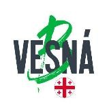 «Весна» в Грузии 💚