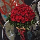 🔍 Поиск интимок VK/INST