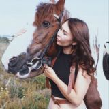 Конфуций в отставке