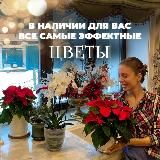 Alina in Gardenland/ЦВЕТЫ И КОФЕ С СОБОЙ