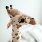 Krasivoe Detstvo 🌿🕊