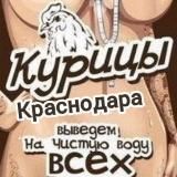 Курицы Краснодара