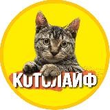 Мастерская Артющенко