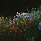 почему я люблю людей