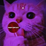 Inspiration in cryptoWorld 💎