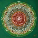 Homöopathie & Naturheilkunde