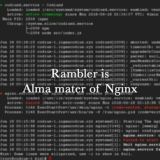 Nginx papers