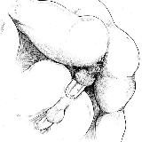 🍓Tik-Trans-Tok 🍓