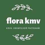Клуб «Флора КМВ»