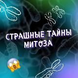 Биология | Женя БиоУм