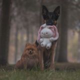 Подслушка эшки