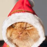 ❤конкурсы❤️