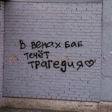 амбассадор загонов