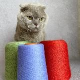 Basya_yarn