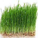 𝔻𝕒𝕝𝕟𝕚𝕜.𝕣𝕦