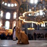 Сильнее•умнее•набожнее