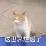 橘子TG代理白嫖频道 | MTProto|节点|VPN|订阅|资源分享 免费节点