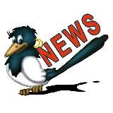 NEWS | СОРОКА