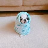 Шимэй снова что-то шьет..