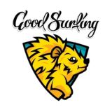 Путешествия со смыслом - Гудсёрфинг