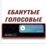Ебанутые голосовые