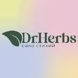 DOCTOR HERBS