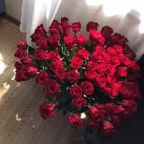 ZOLOTOVA BOUTIQUE 💗✨