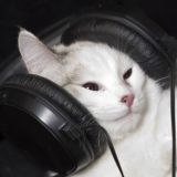 Fuzzy Knob Twiddlers