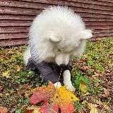 Мишка принимает решение