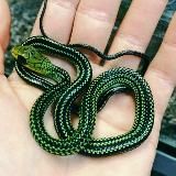 1𝚋𝚊𝚢𝚗𝚝𝚞 | ᴄᴏxᴘы