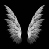 👉❤SEVGI QANOTIDA❤👈