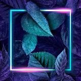 Здоровье 2.0