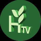 HTV