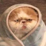 ксюшкин твиттер