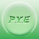 PYE OPTICS